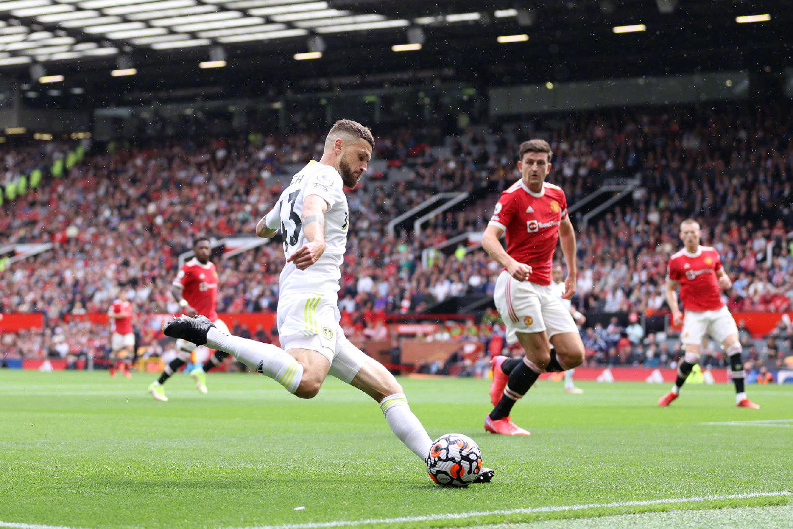 的斗志和活 的斗志和活