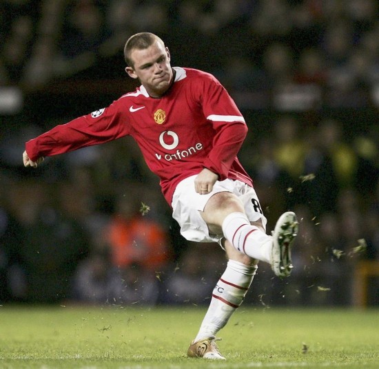 入了生机 入了生机